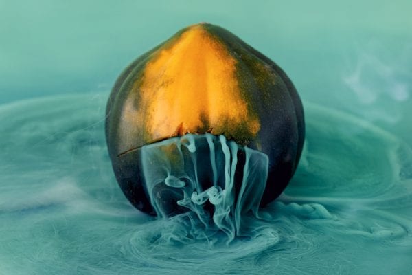 Color Photography by Maciek Jasik - Acorn squash, also called pepper squash or Des Moines squash, is a winter squash with distinctive longitudinal ridges on its exterior and sweet, yellow-orange flesh inside.