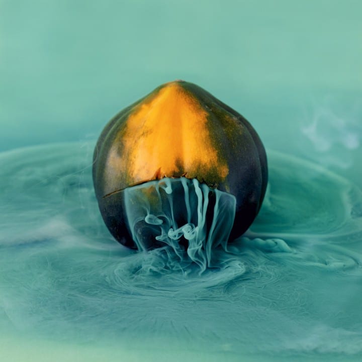 Color Photography by Maciek Jasik - Acorn squash, also called pepper squash or Des Moines squash, is a winter squash with distinctive longitudinal ridges on its exterior and sweet, yellow-orange flesh inside.