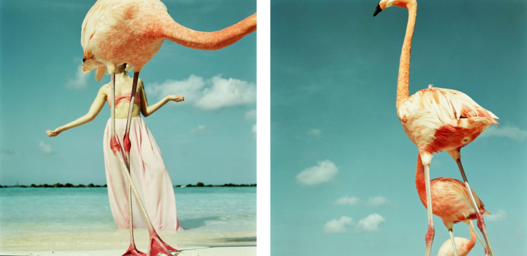 fashion photography, luscious and surreal images, unrealistic pictures from Sois Belle by Annelie Vandendael