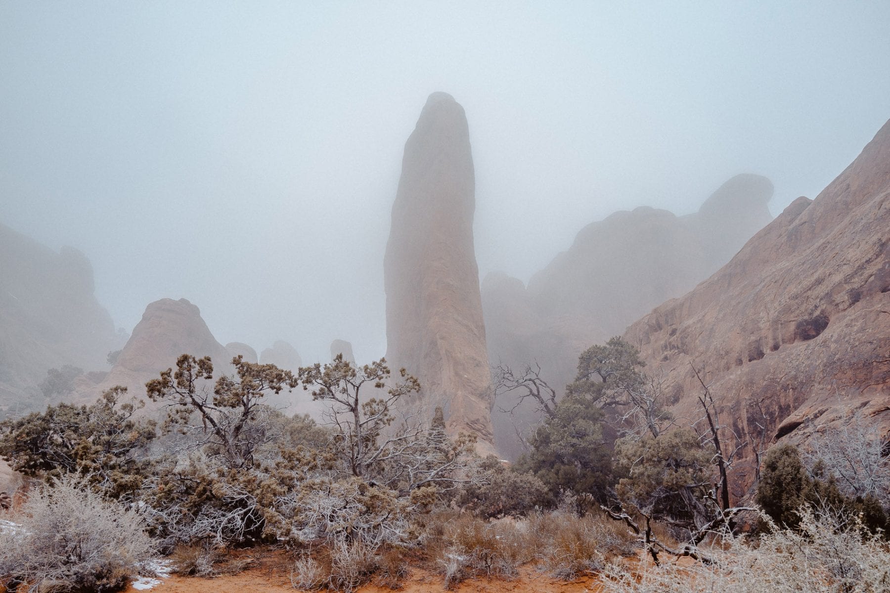 color landscape photography in utah, usa, by Cody Cobb