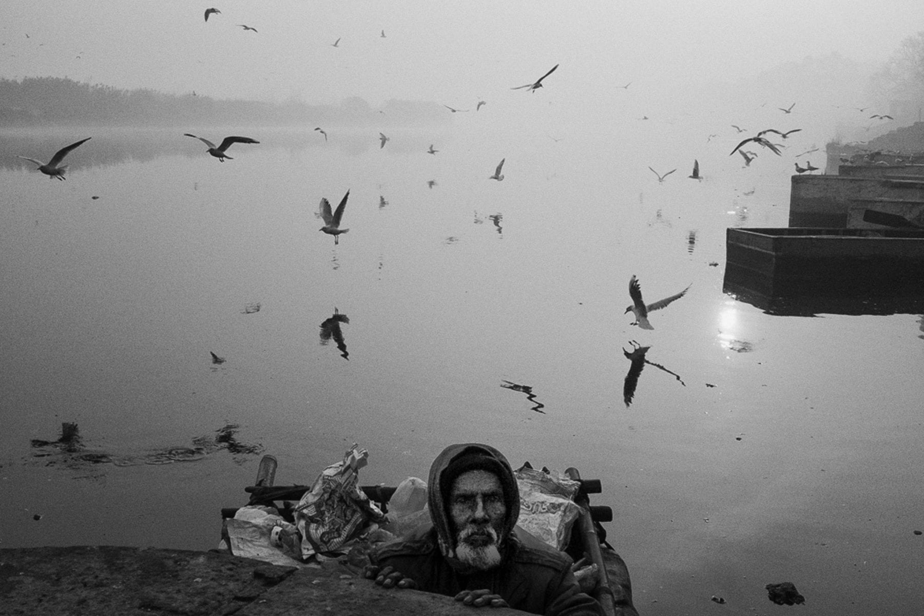 man in front of the sea with birds street photography by swarat ghosh