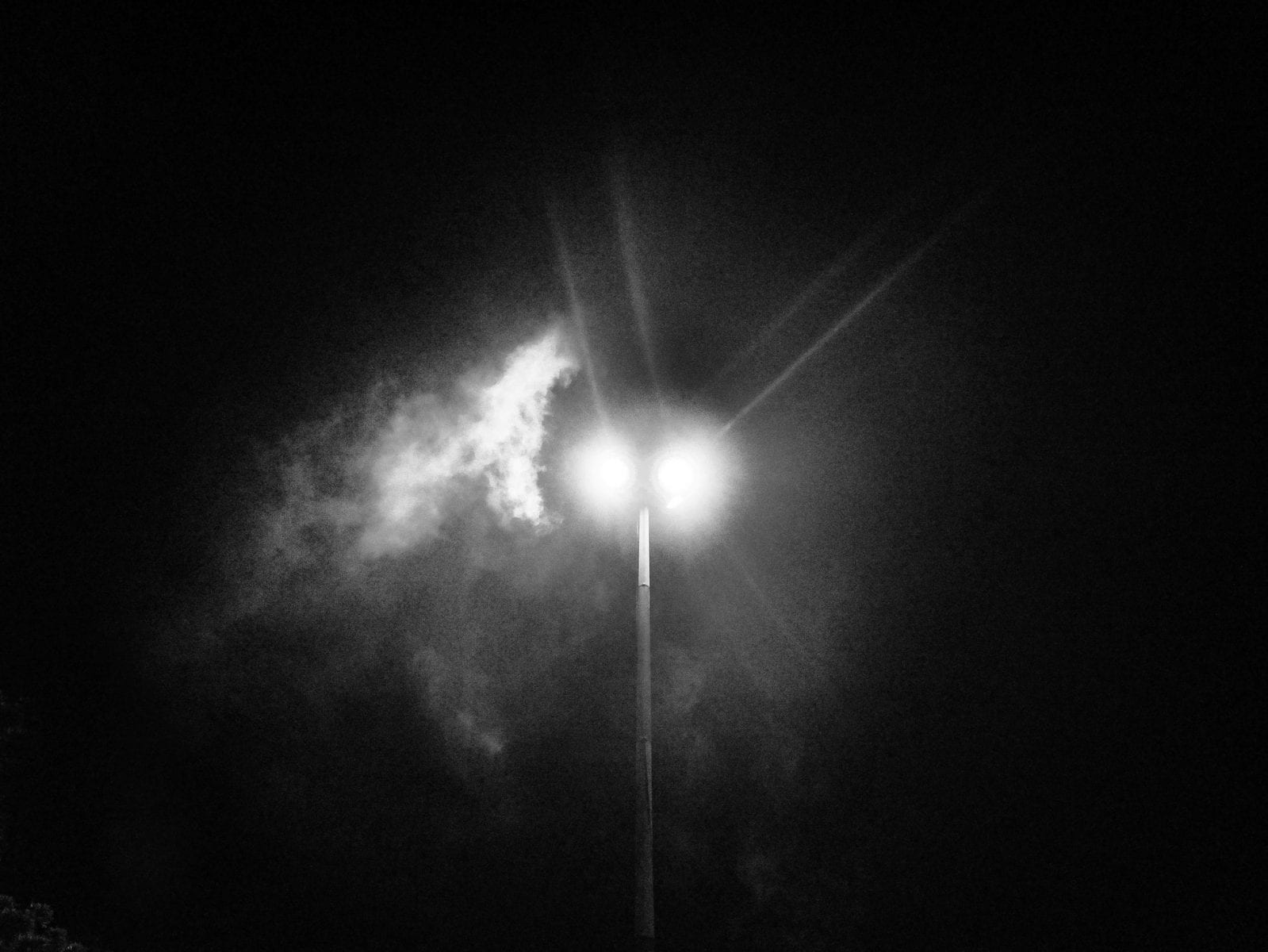 tree at night black & white, contrast photography by Aji Susanto Anom