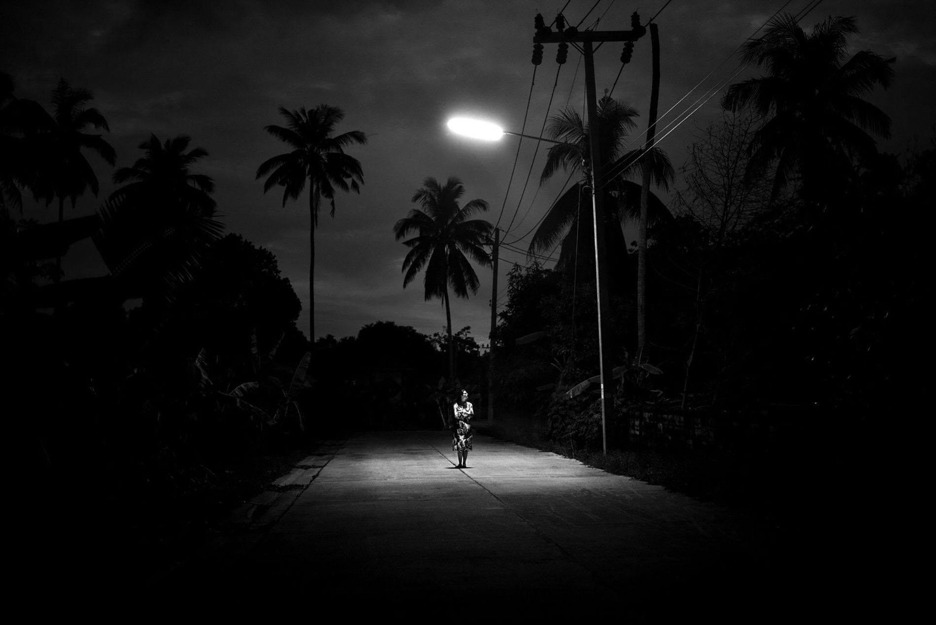 Alan Schaller