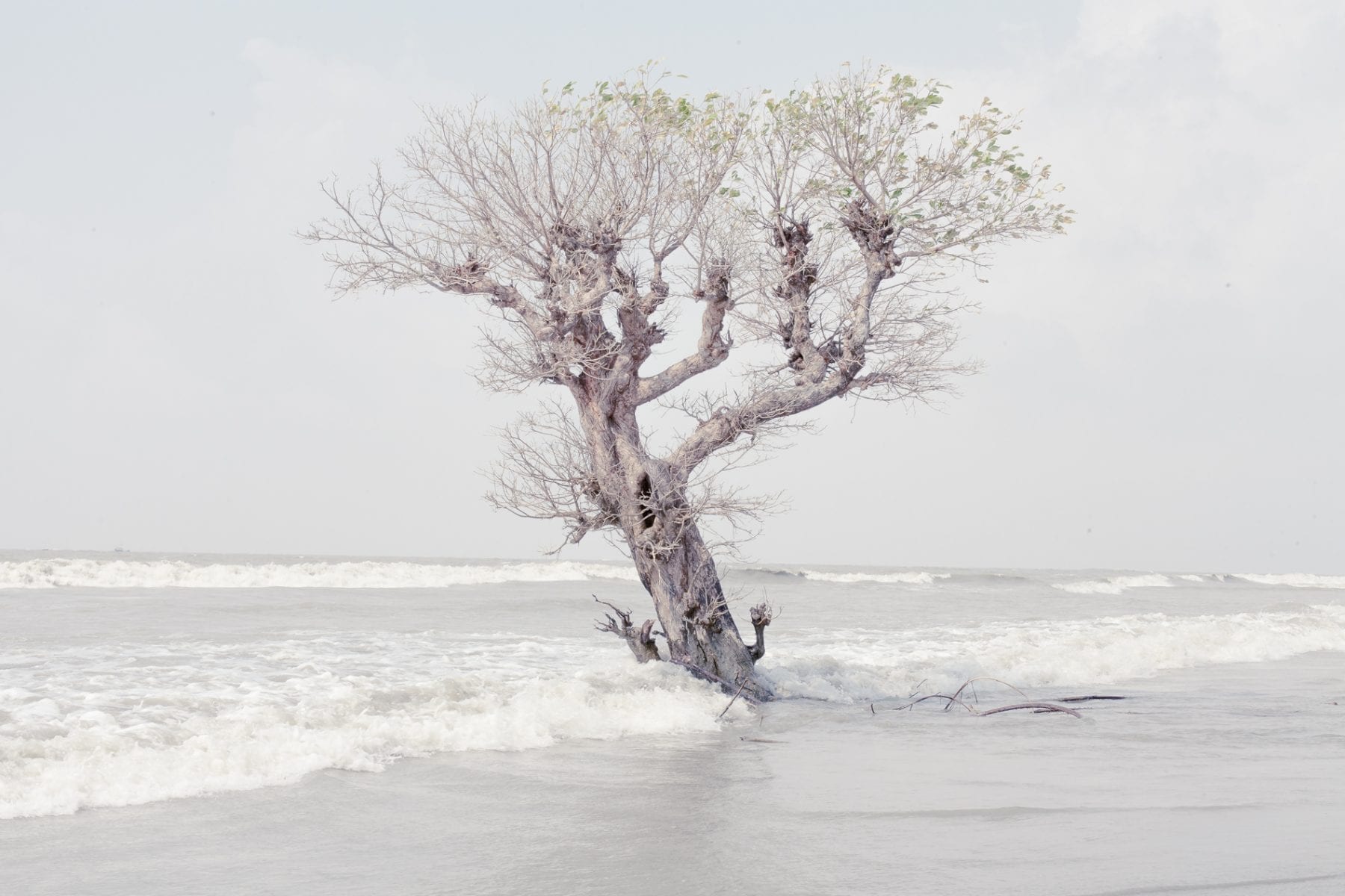 Farhad Rahman travel photography, Bangladesh, Song of a coast. Portrait of young man