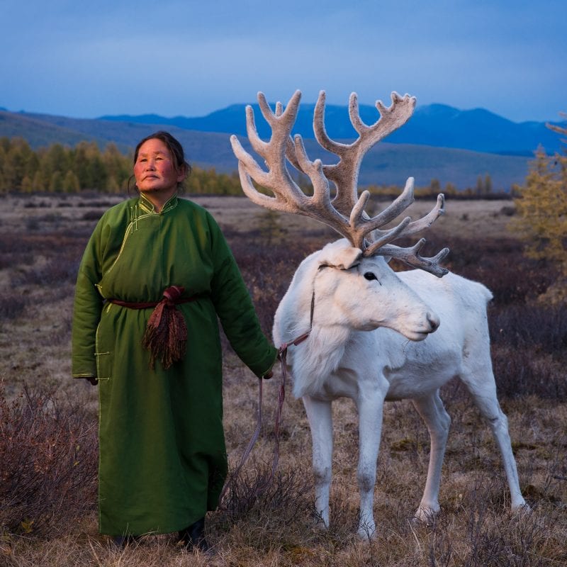 The Tsaatan people, Mongolia, photography series by Madoka Ikegami, reindeer herders