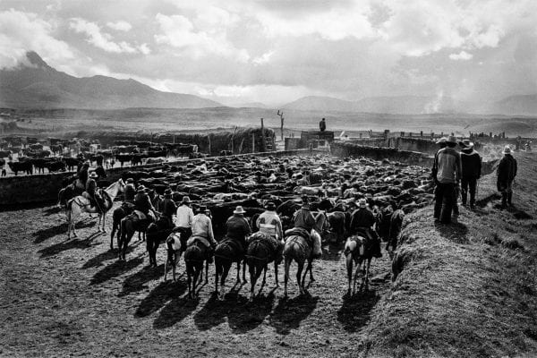 black and white photo of cowboys riding horses