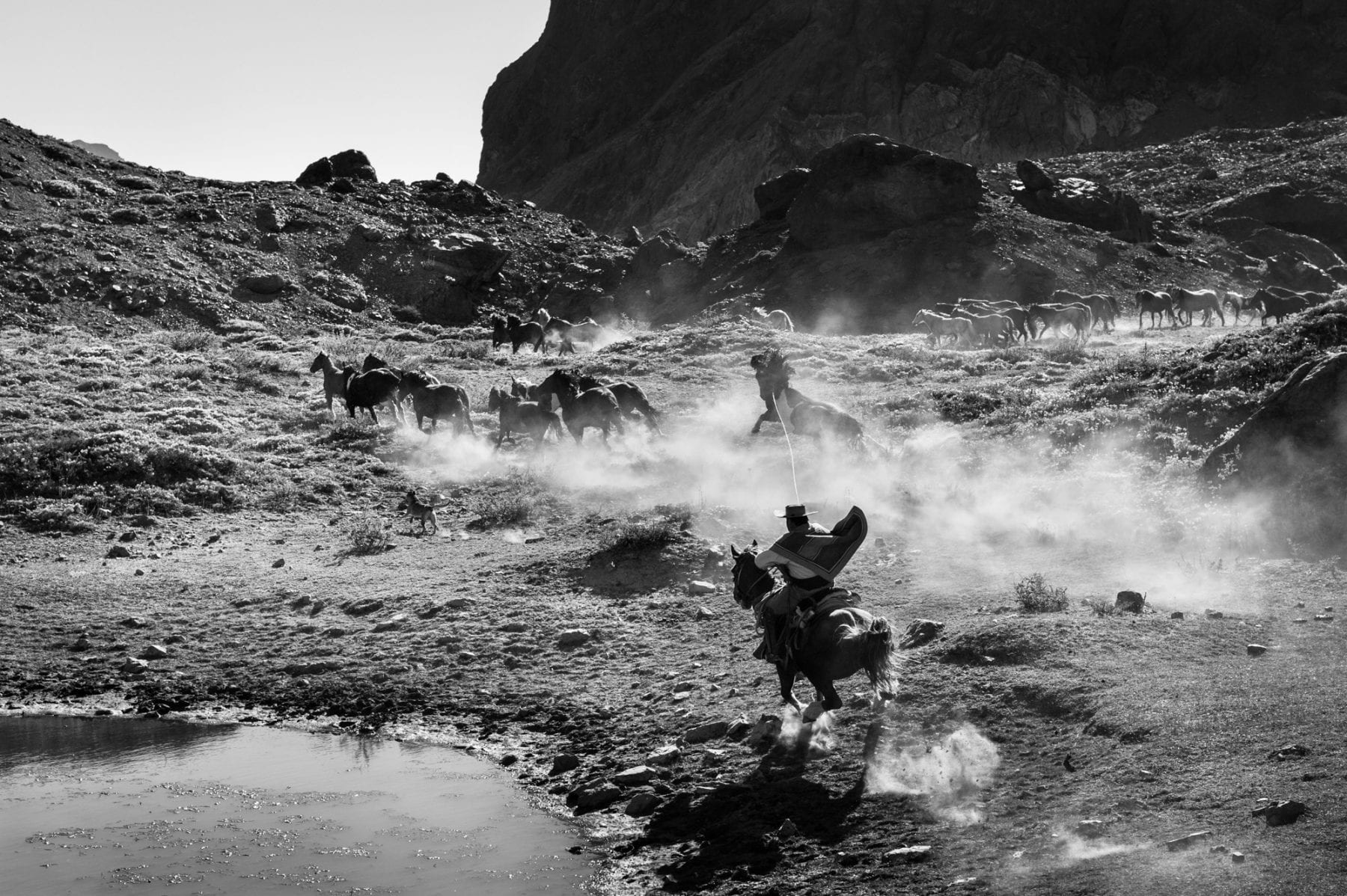 black and white photo of cowboys riding horses in chile