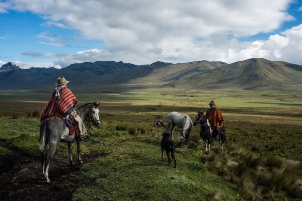 color photograph of cowboys riding horses