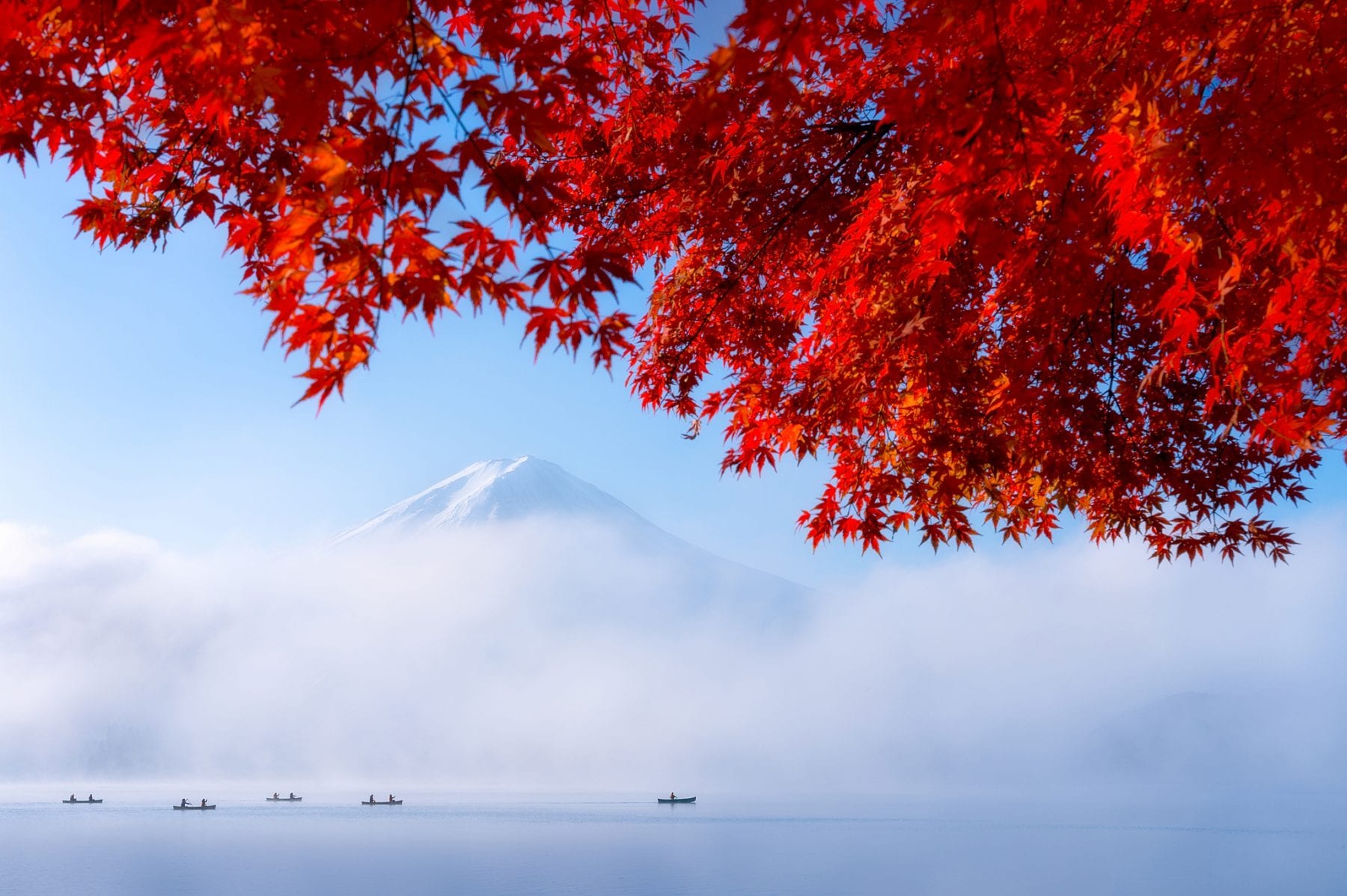 Color travel landscape photo of Mount Fuji and red leaves in the foreground