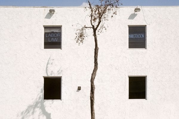 tree growing in urban or industrial setting, color photography by sinziana velicescu