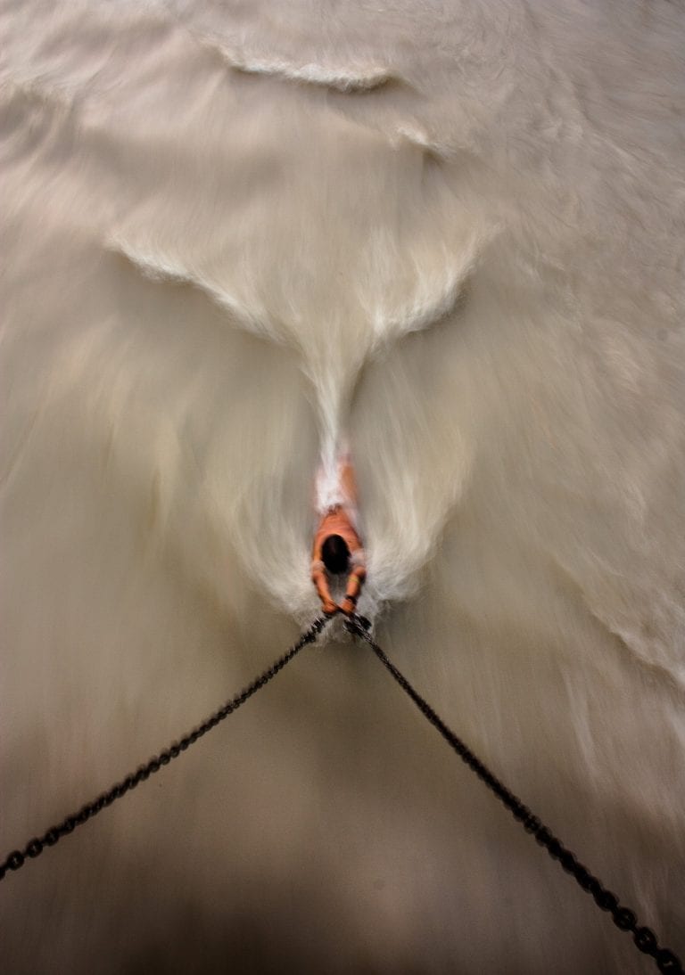 color travel photograph of a man swimming in India by Fernando Leal