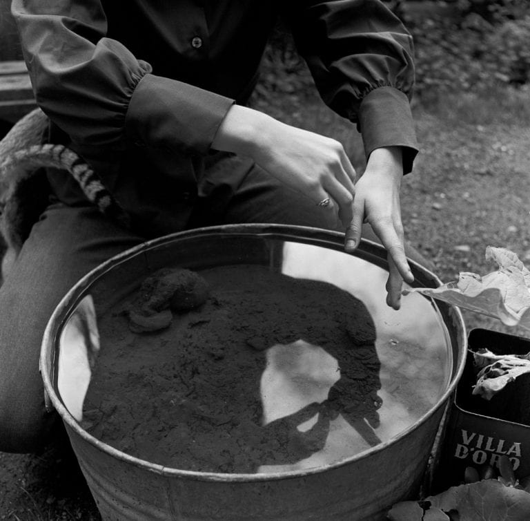 Aiko’s hands, 1971 © Imogen Cunningham