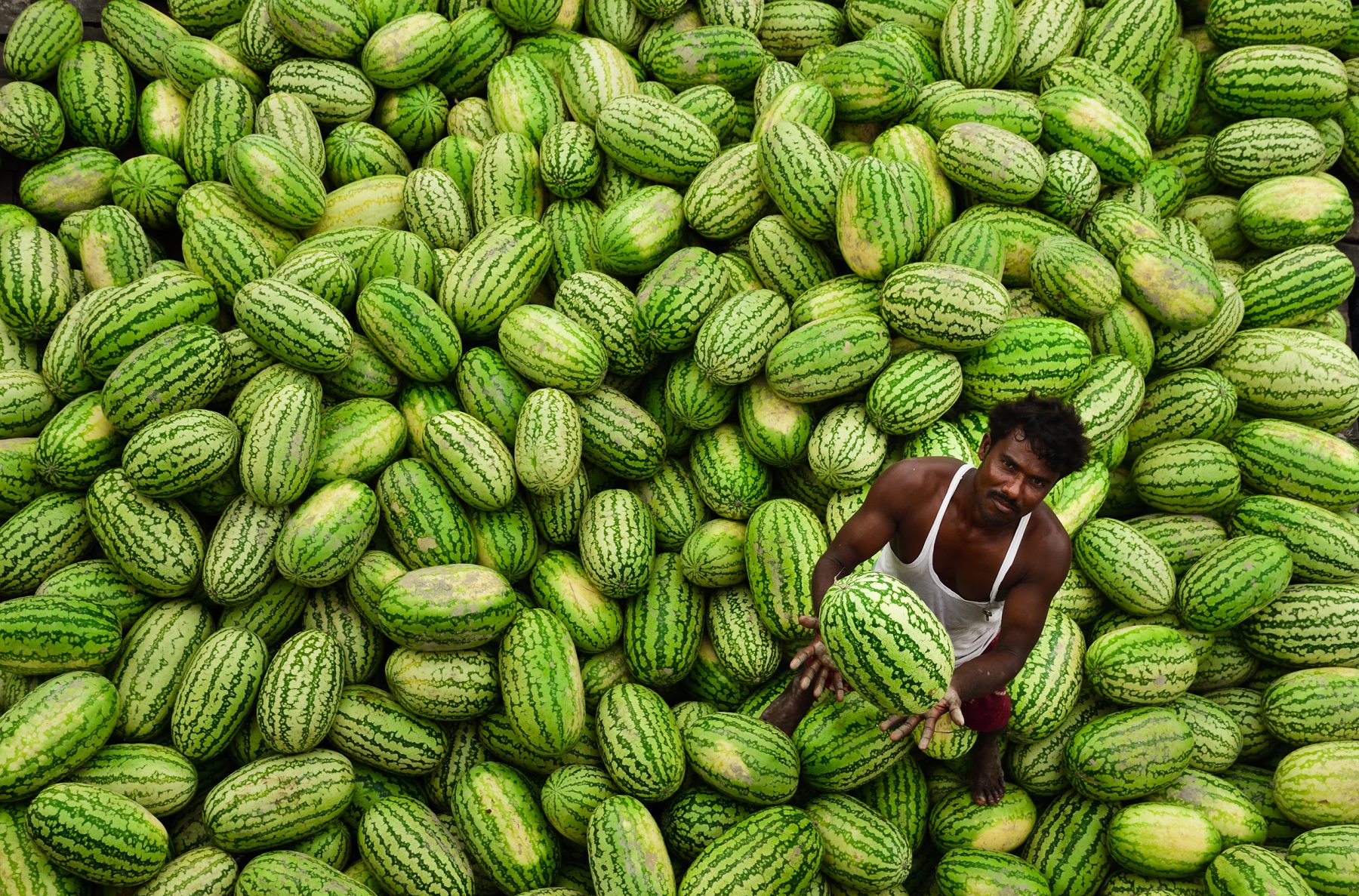 photograph of a a fruit seller working on top of a water melon pile in the streets of Dhaka, Bangladesh