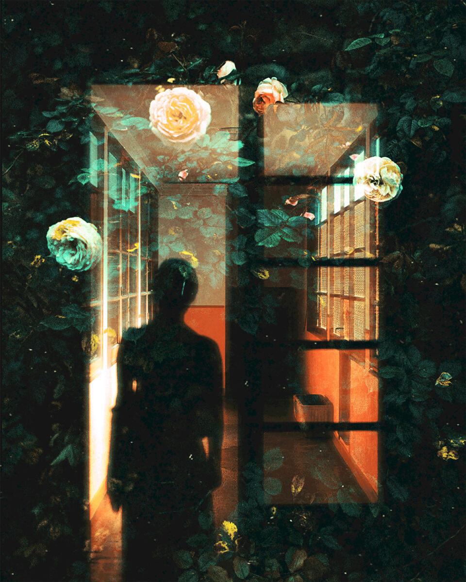 Color film photo by Tristan Hollingsworth, shadows, lights, layers, double exposure, flowers, portrait