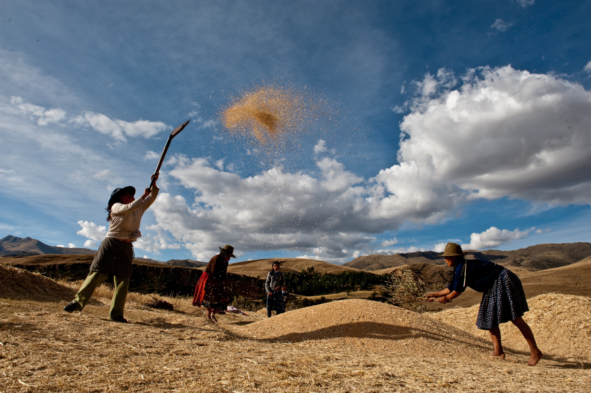 Color photo by Luis Fabini from the series Harvest. Andes Mountains, Peru, potato harvest, ritual