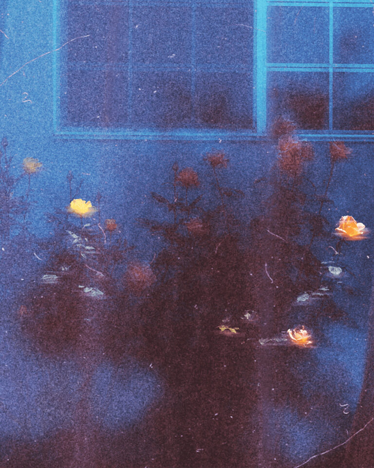 Color film photography by Tristan Hollingsworth, dreamy, flowers, blur, double exposure