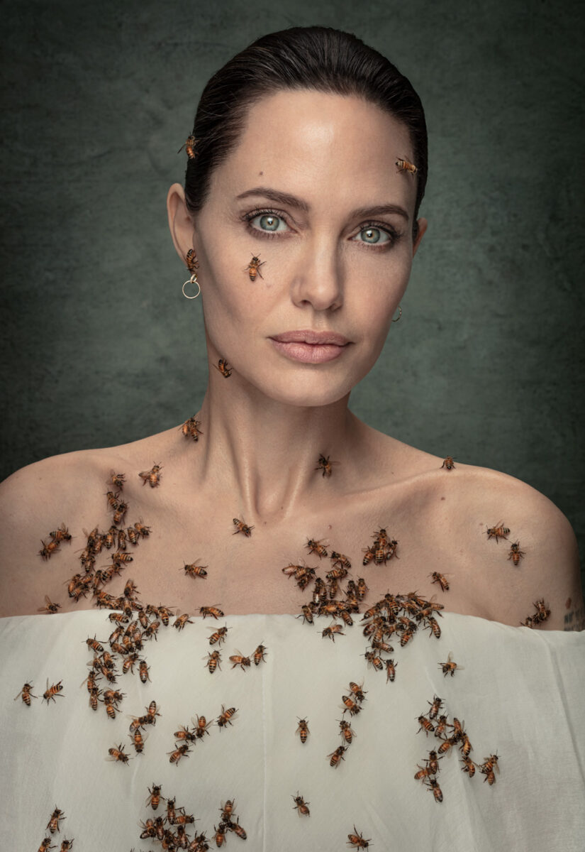 Color studio portrait of Angelina Jolie by Dan Winters