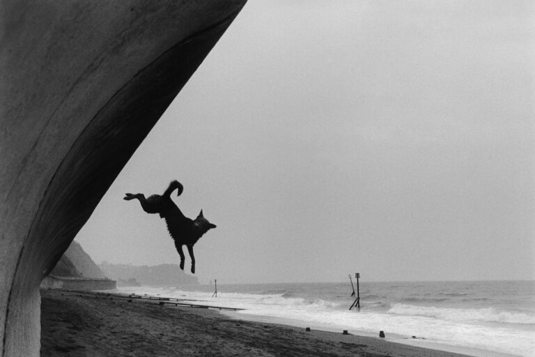 Black and white photography, dog on beach. Roger Deakins, Byways