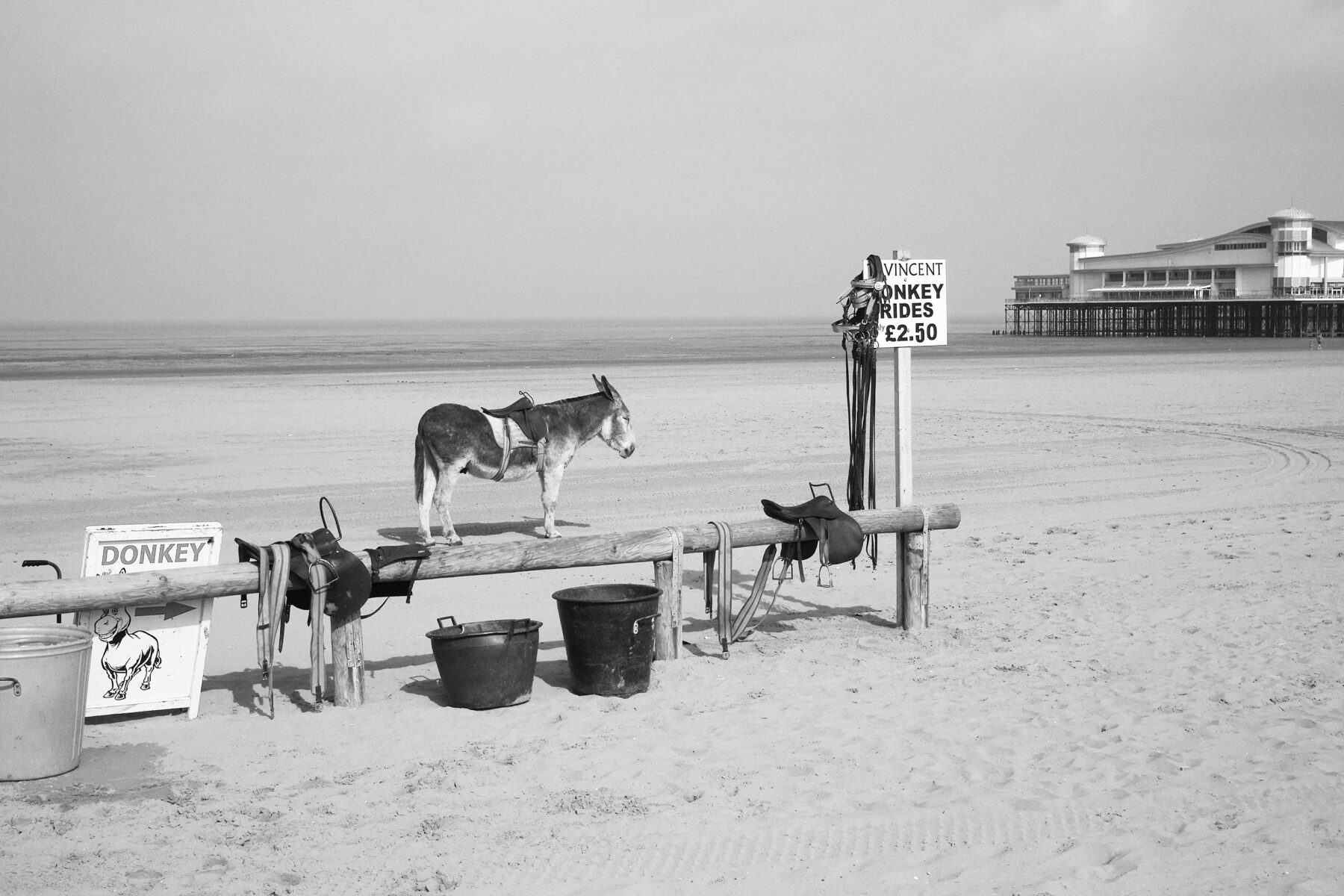 Black and white photography, donkey on beach. Roger Deakins, Byways