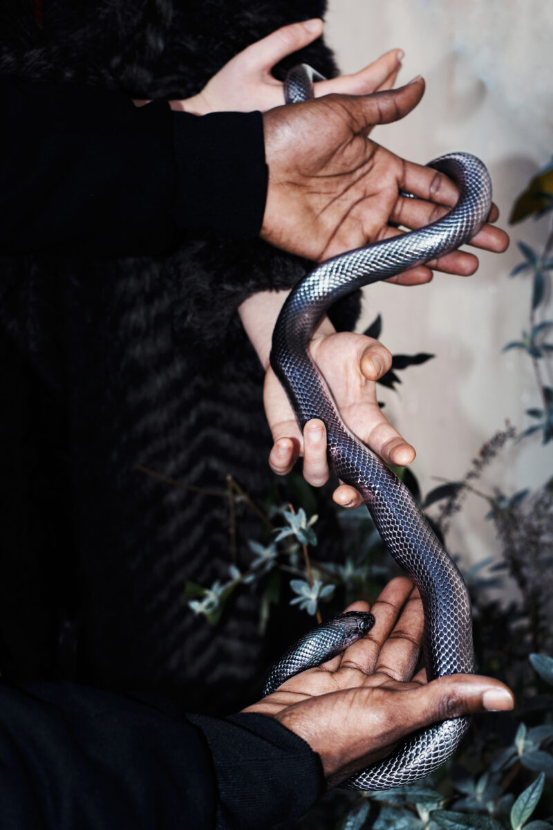 color close up photo of hands holding a snake by Chloé Azzopardi