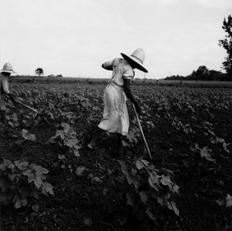 Black and white documentary photography by Dorothea Lange. Agricultural worker, Near Eutah, Alabama 1936.