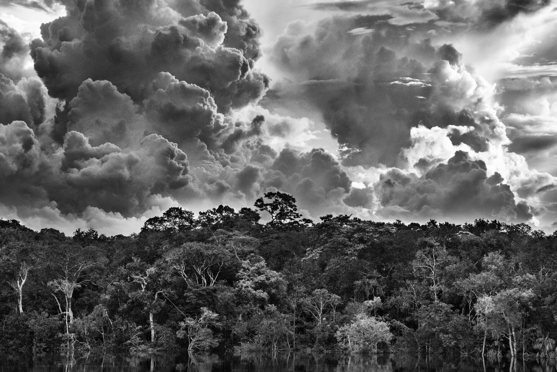 Black & White photography by Sebastião Salgado, Mariuá archipelago above the Rio Negro, Amazonas state, 2019 , amazon rainforest Brazil. From the exhibition Amazonia