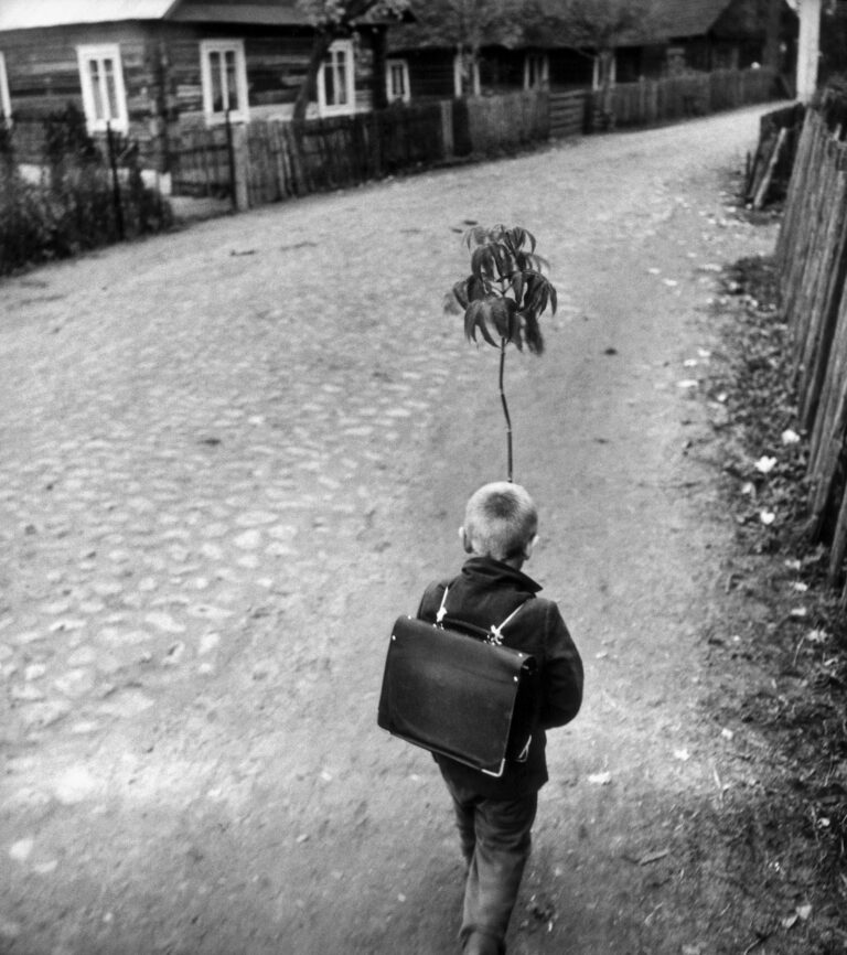 Black & white photography by Antanas Sutkus boy with plant, Vilnius, Lithuania from Planet Lithuania