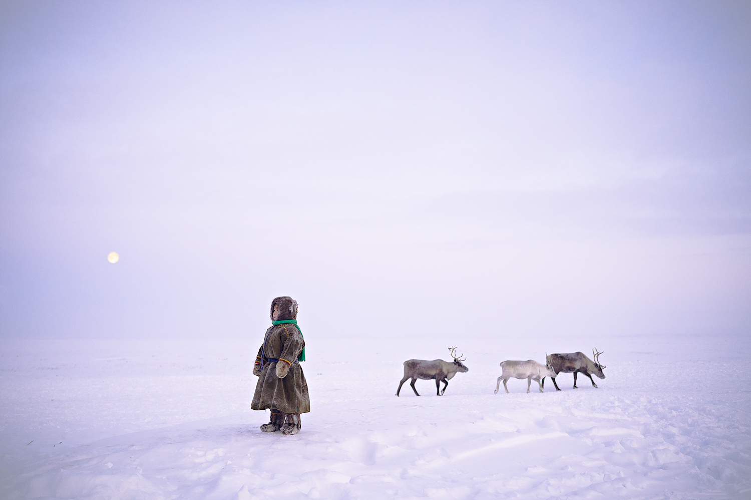 Color photo of a young nomadic reindeer herder in Yamal peninsula, Siberia, Northern Russia by Nicola Ducati