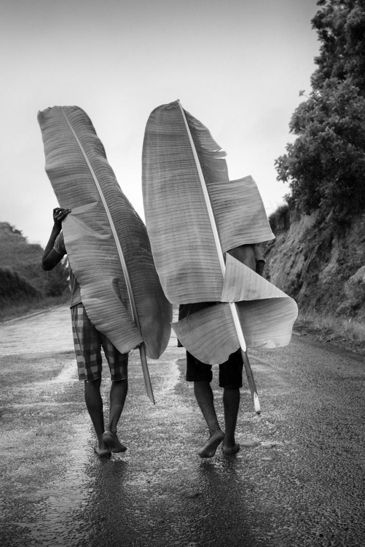 Black & white photography by Pierrot Men, men carrying palm leaves