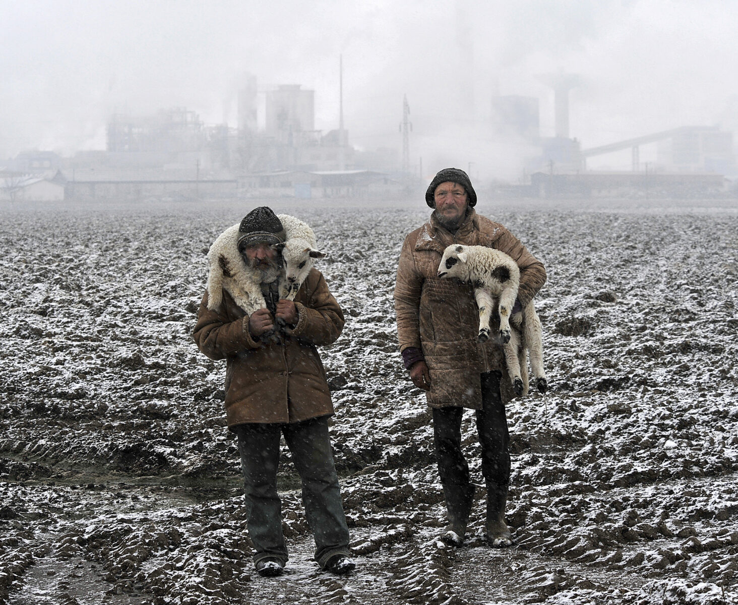 color photo of Transylvanian shepherds in Romania by Istvan Kerekes