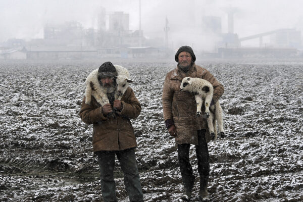 color photo of Transylvanian shepherds in Romania by Istvan Kerekes