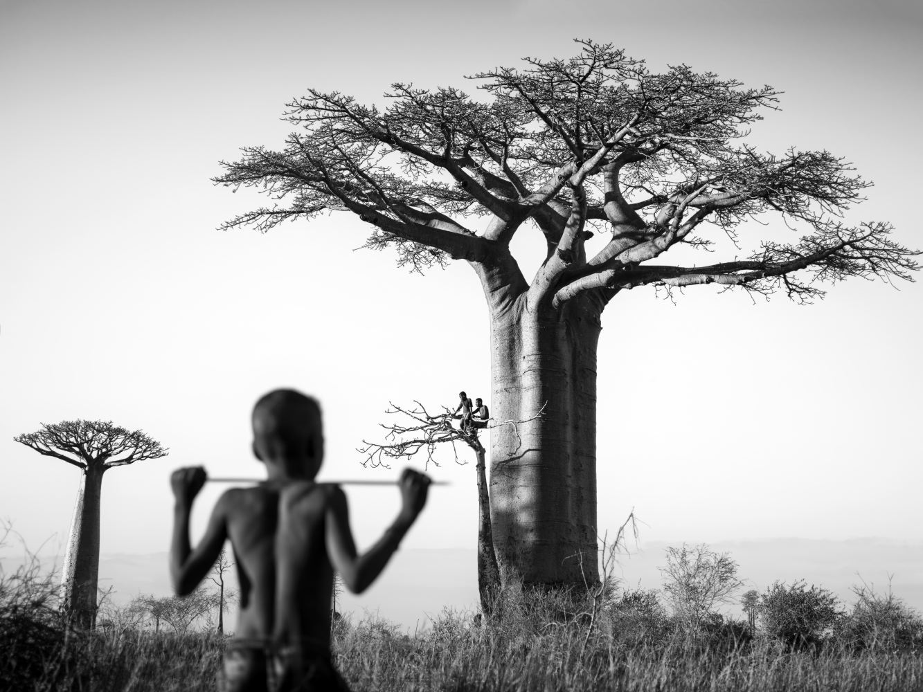 Black and white photography by Pierrot Men, children and baobab trees in Madagascar