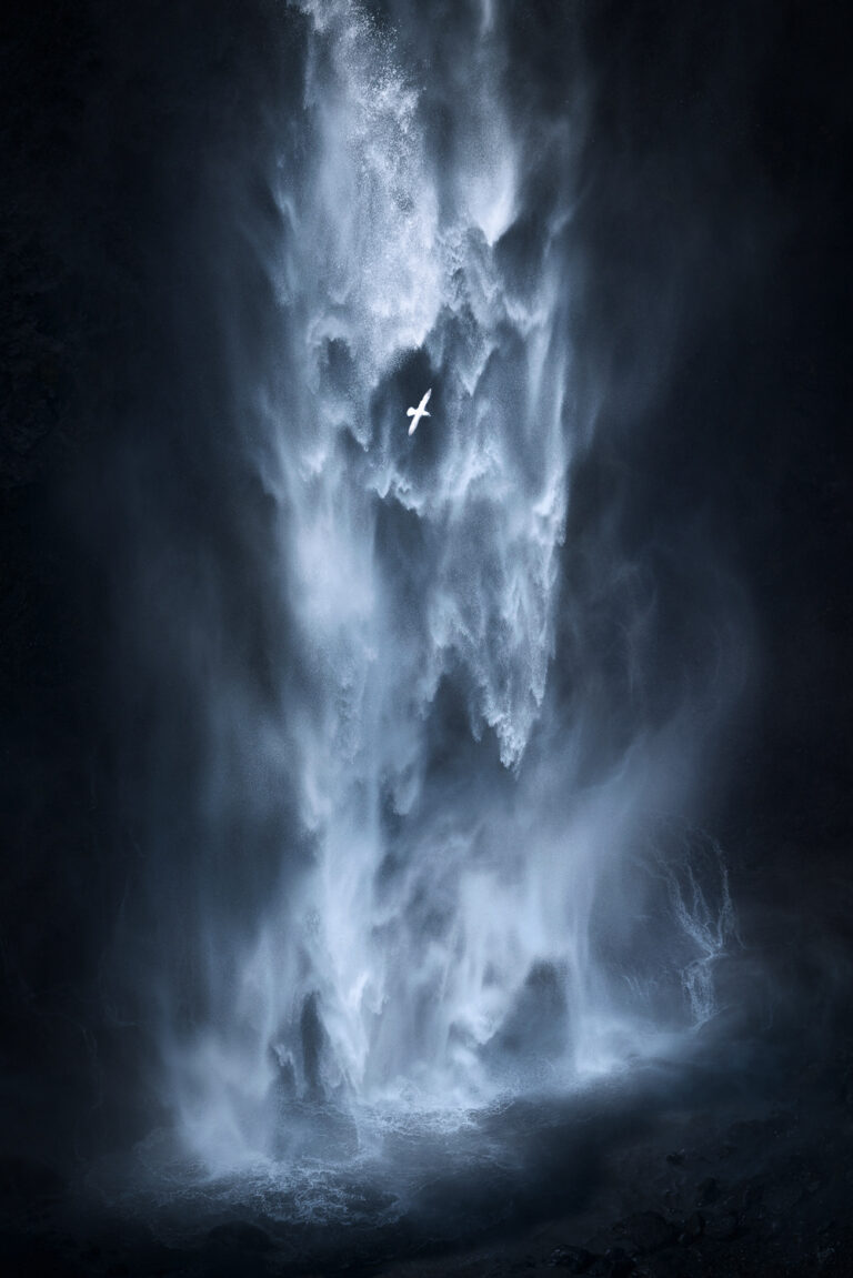 Landscape photography by Kai Hornung, waterfall, white bird, Iceland