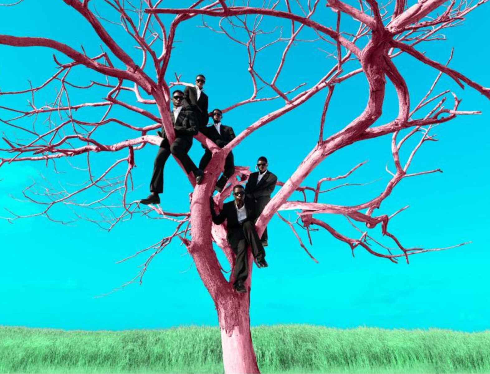 Color photography by Prince Gyasi, group portrait, men in tree