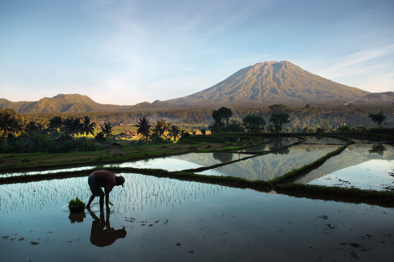 Color photography by Michael Dean Morgan, rice fields, Bali