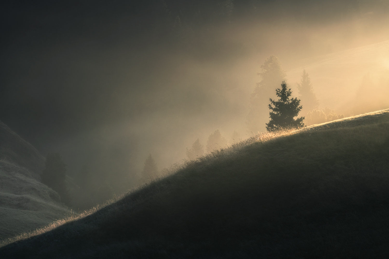 Landscape photography by Kai Hornung, mountains, trees, Dolomites, Italy