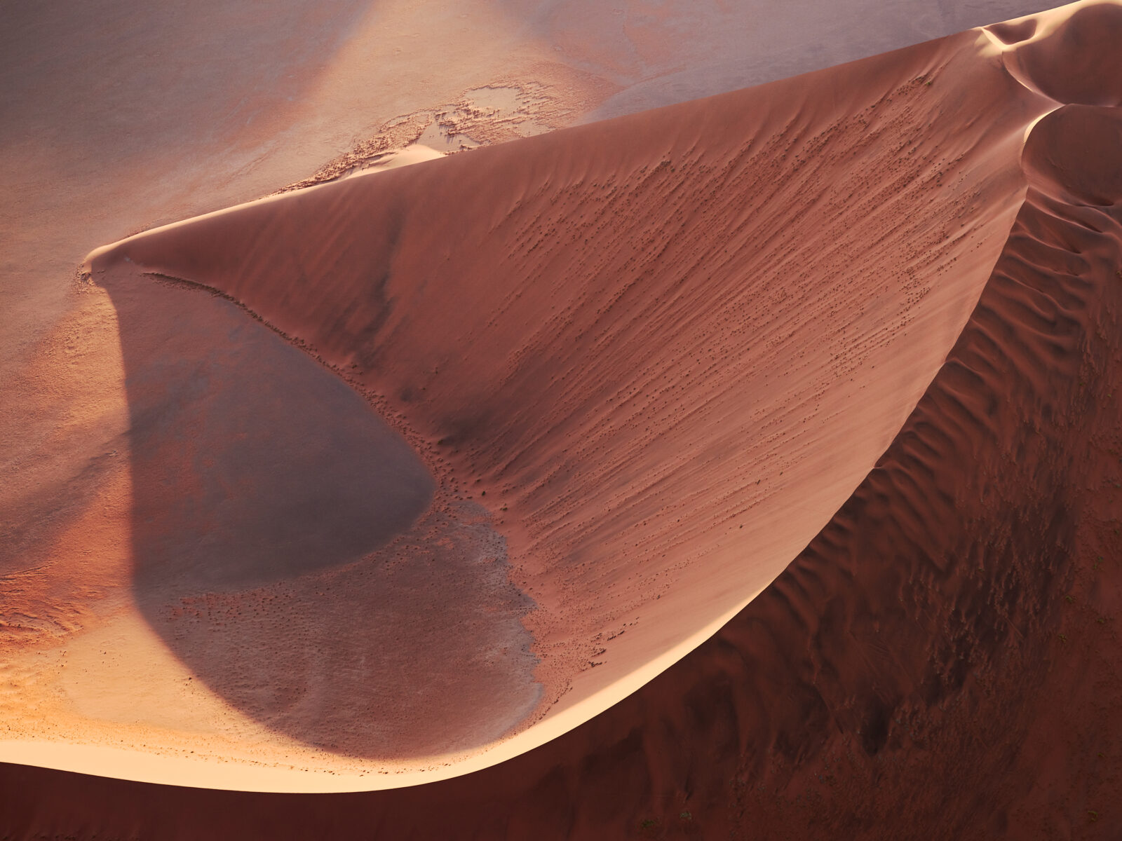 color aerial landscape photograph of sand dunes in Namibia by Brooke Holm