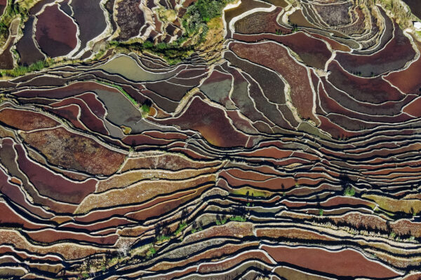 color aerial landscape photograph of Yuanyang Rice Terraces, Yunnan, China by Florian Delalee