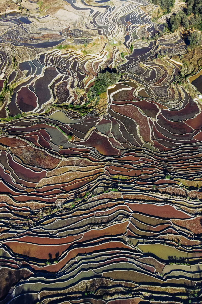 color aerial landscape photograph of Yuanyang Rice Terraces, Yunnan, China by Florian Delalee