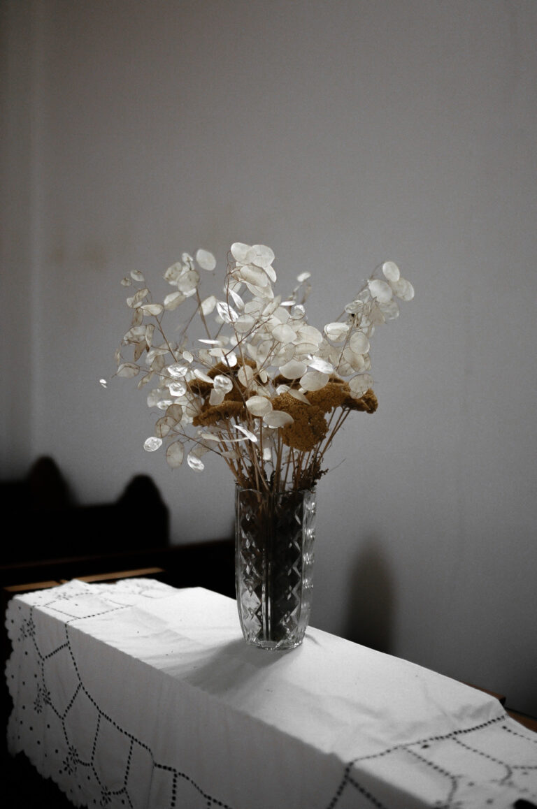 Documentary photography by Tomislav Marcijuš, still life, flowers, from the series Baranja Dreaming