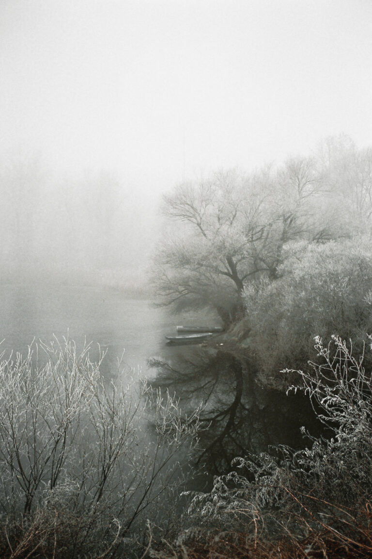 Documentary photography by Tomislav Marcijuš, landscape, snow, frost, trees, fog, Baranja Dreaming