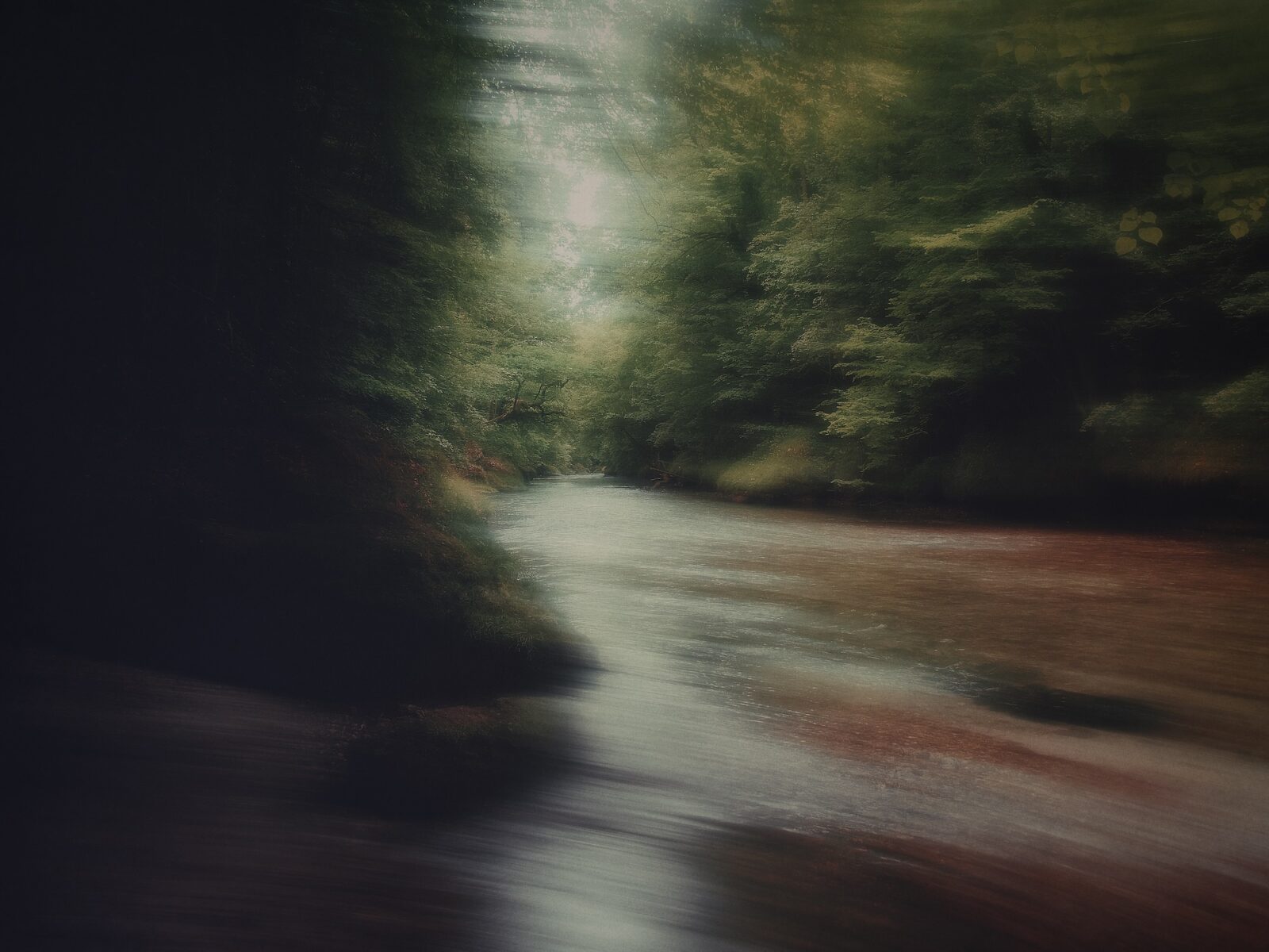 Abstract landscape photography composition by Thaddäus Biberauer​​, trees, river, forest