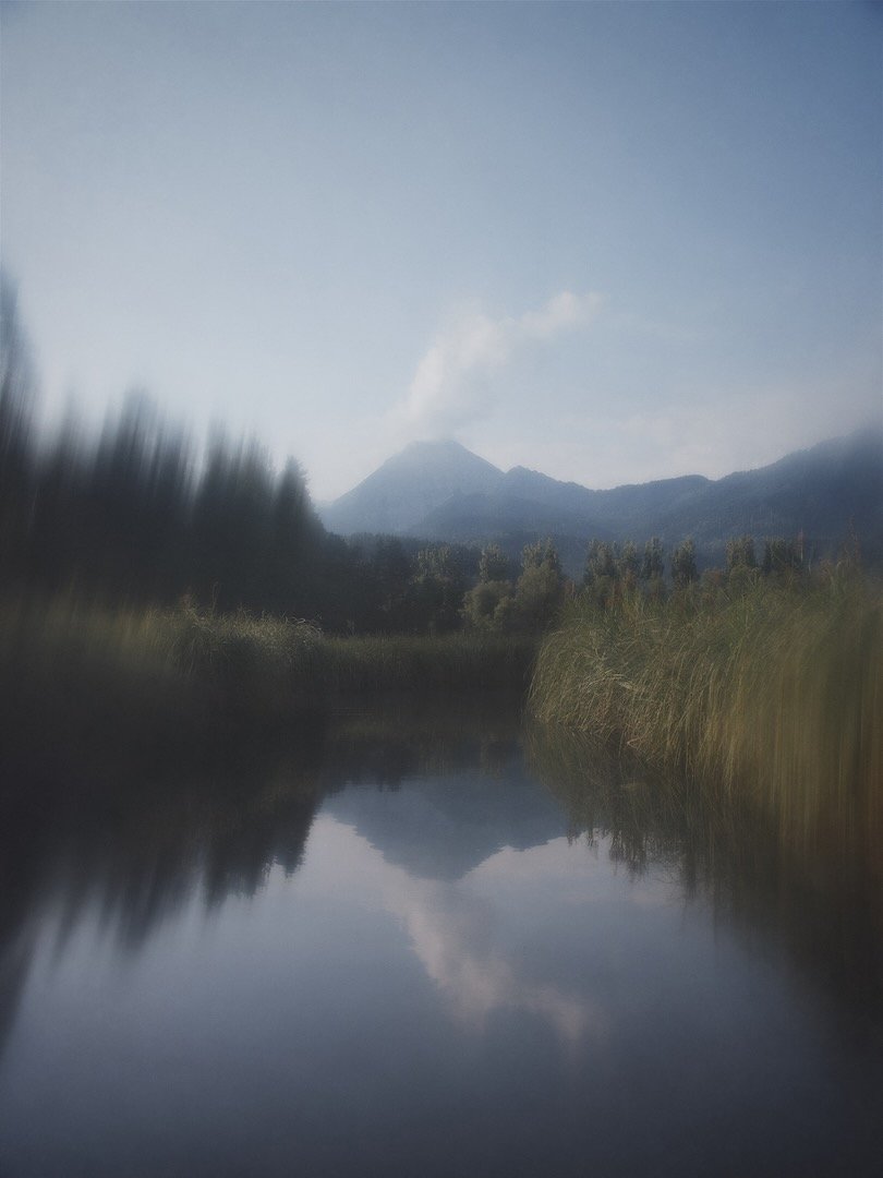 Landscape photography by Thaddäus Biberauer, trees