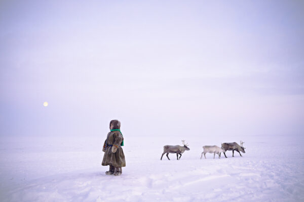 Color documentary photography by Nicola Ducati, Nenets child and reindeer, Siberia, from Shades of white