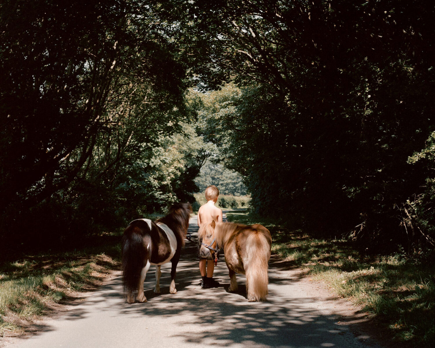 Documentary analog, film photography, Max Miechowski. Boy walking with ponies.