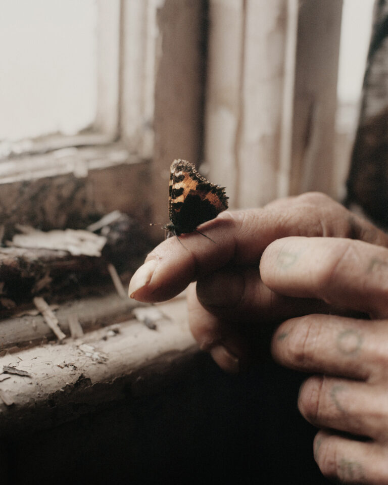 Documentary analog, film photography, Max Miechowski, butterfly, fingers