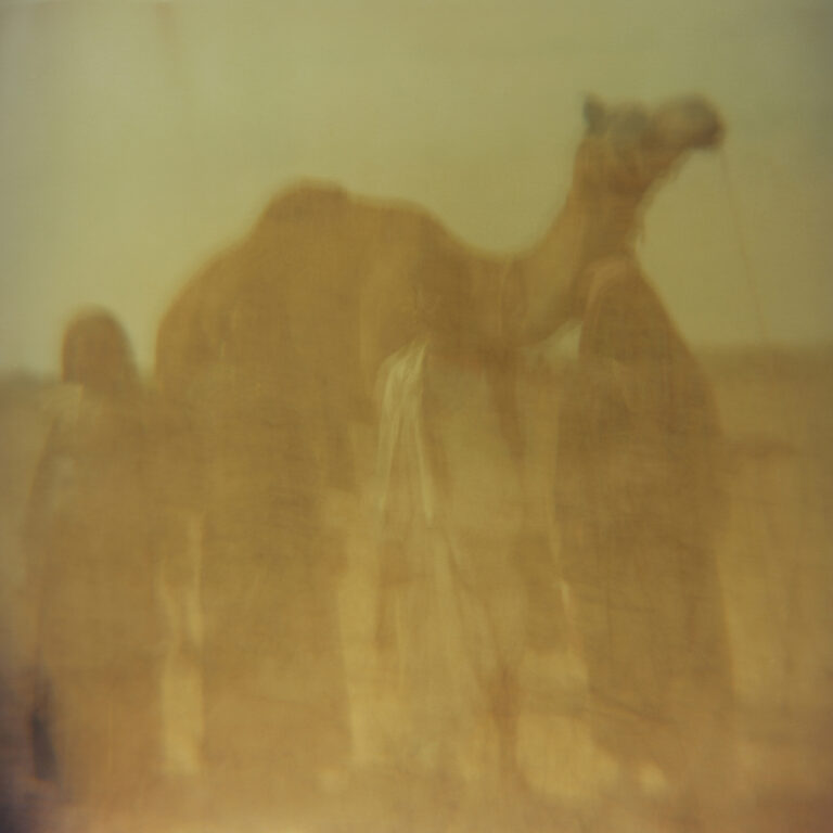 Color photography by Sean Lotman, camels, people