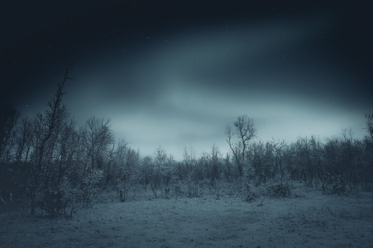 color landscape photography by Yohan Terraza, forest, night, snow