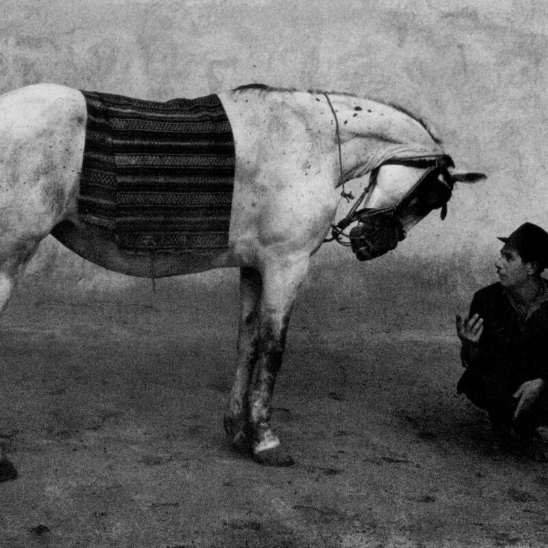 Black and white photography by Josef Koudelka, man and horse