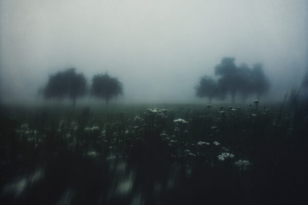 abstract landscape photo of green field with flowwers by Thaddäus Biberauer